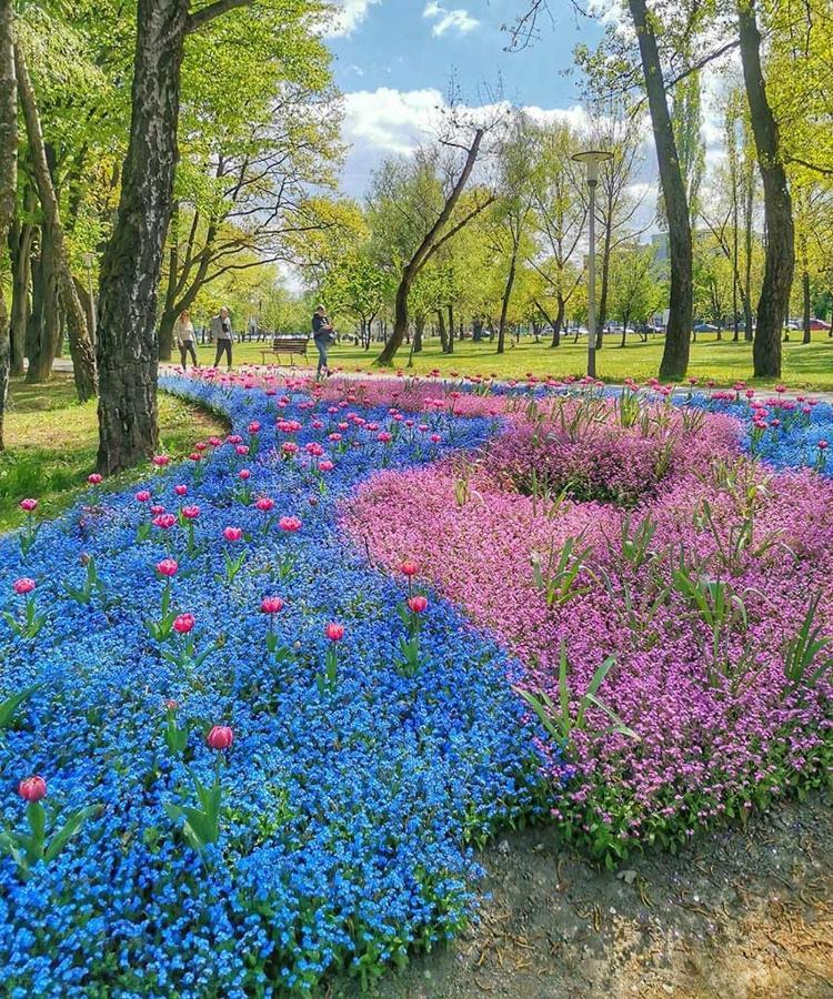 Lola Suite Zagreb Luaran gambar